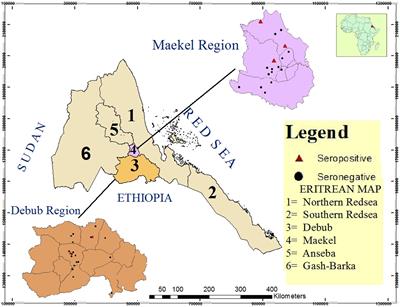 Prevalence of brucellosis and associated risk factors in dairy cattle in Maekel and Debub Regions, Eritrea